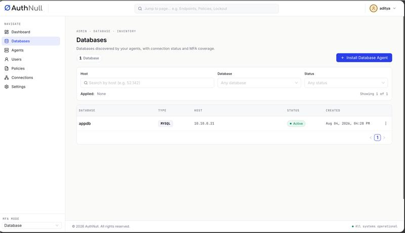 Databases discovered by the agent